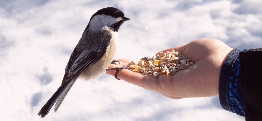 لا يجدي التمني